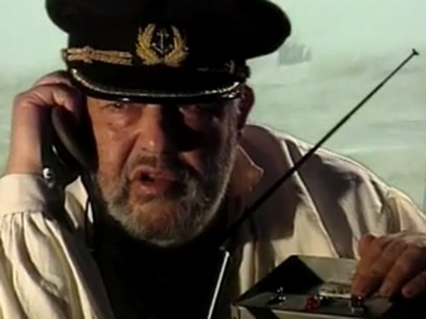 Walfang im Kuh-Sturm