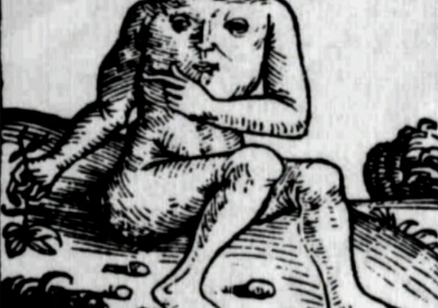 Merkwürdige Geschichten aus dem Mittelalter