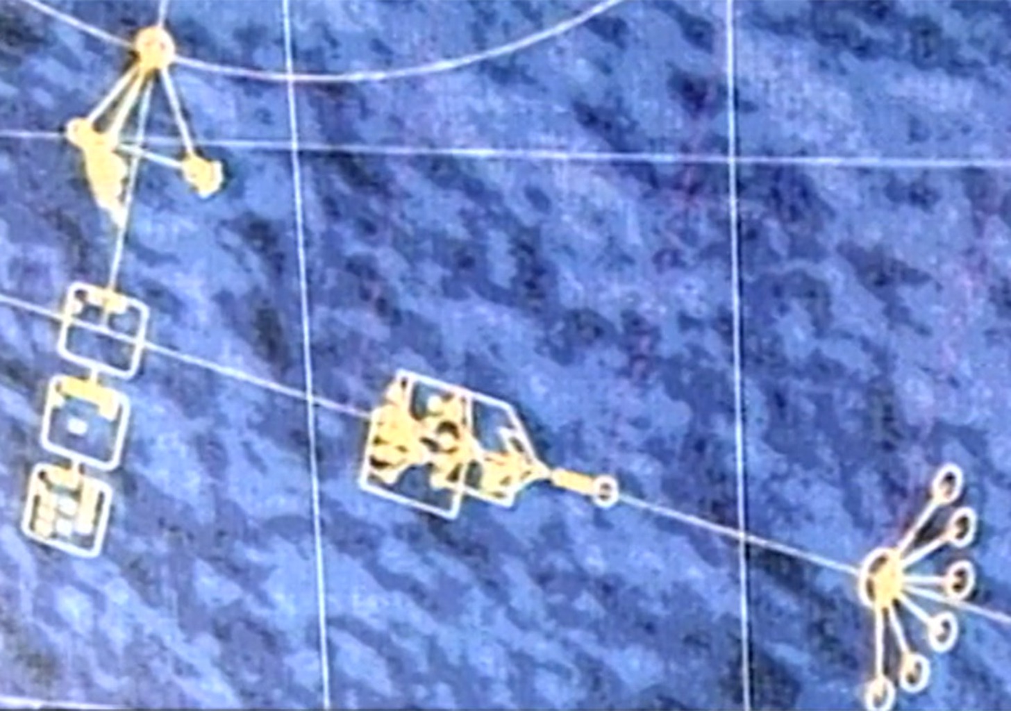 "Mensch, Pflanze, Stein"