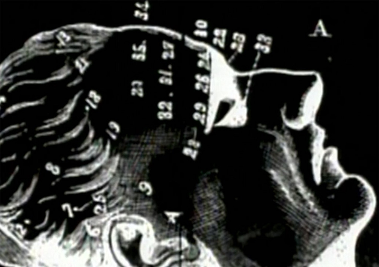 Die Natur, das unbekannte Wesen