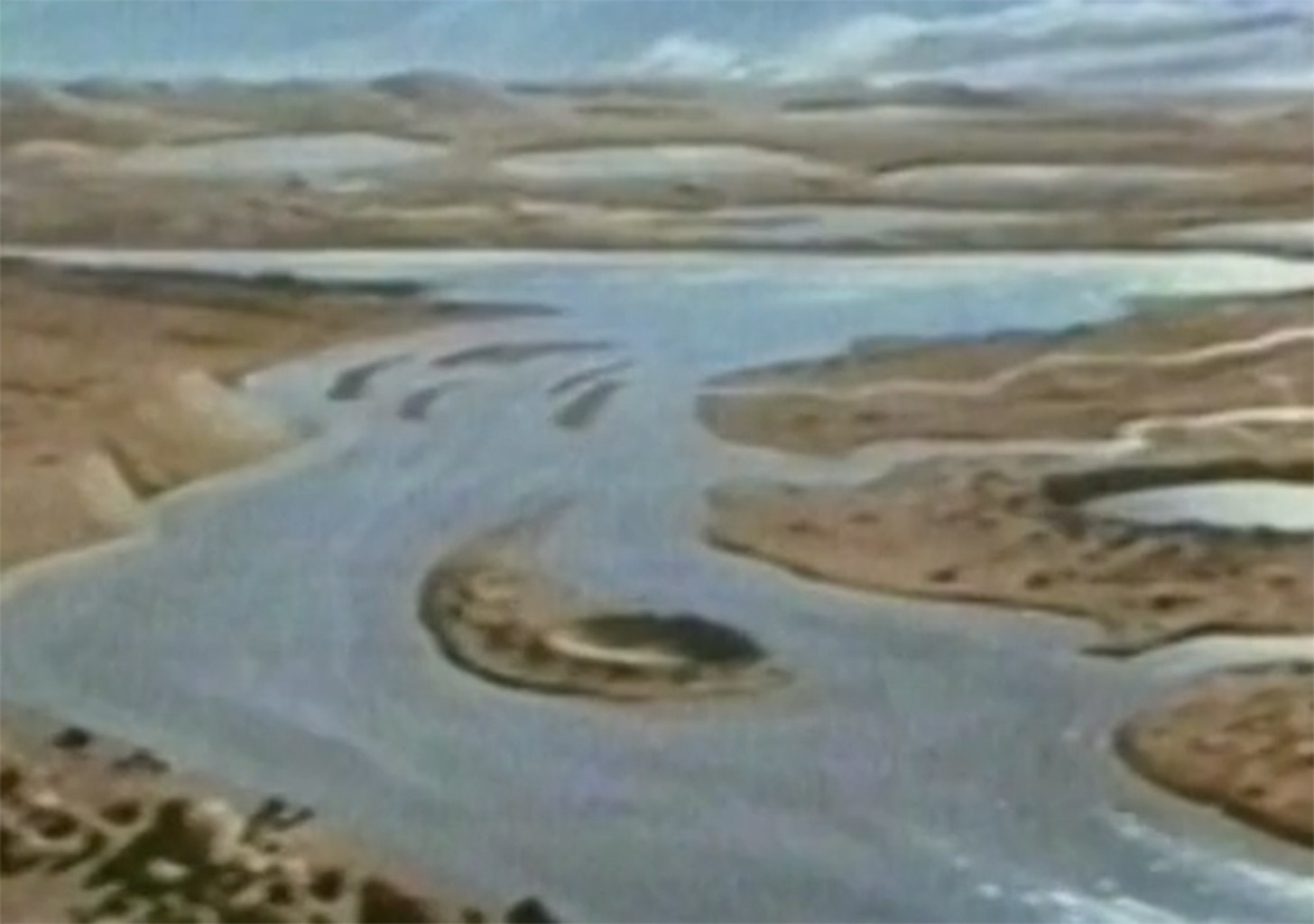 Pflanzen haben keine Sklaven