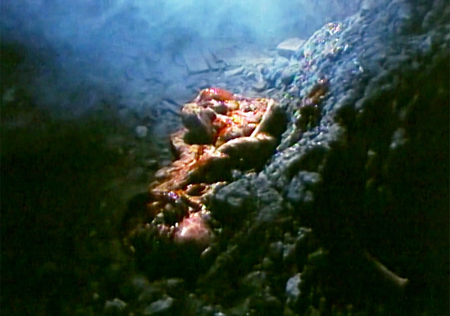 Kannibalenforschung im Dritten Reich