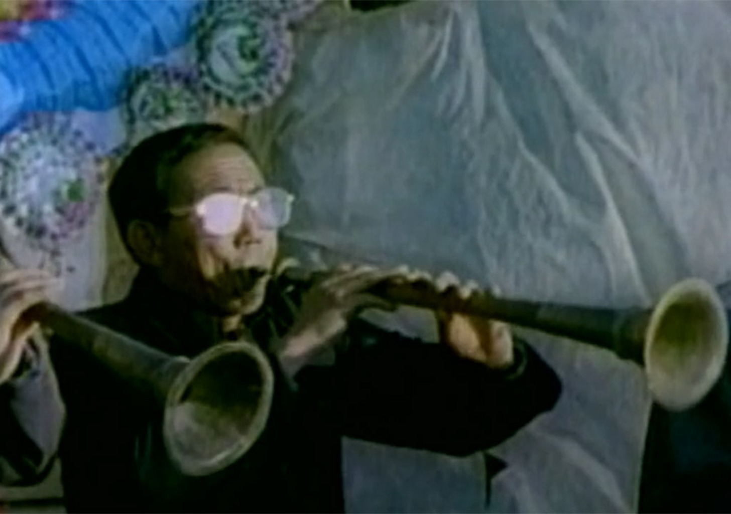 Das Erwachen der Insekten