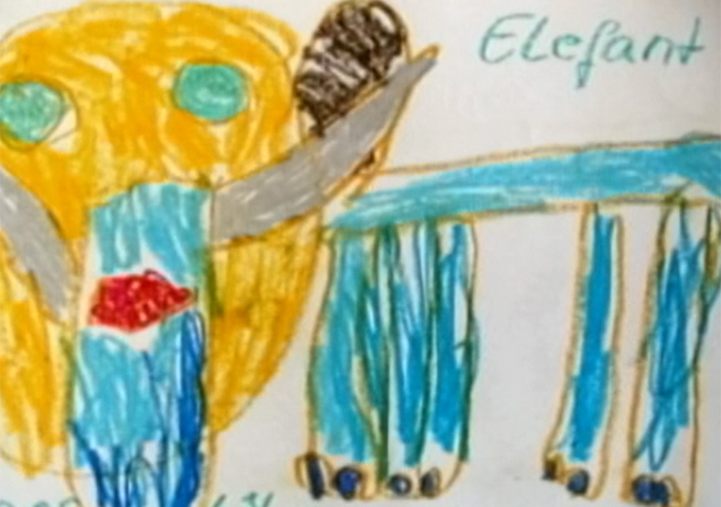 Die kognitive Explosion