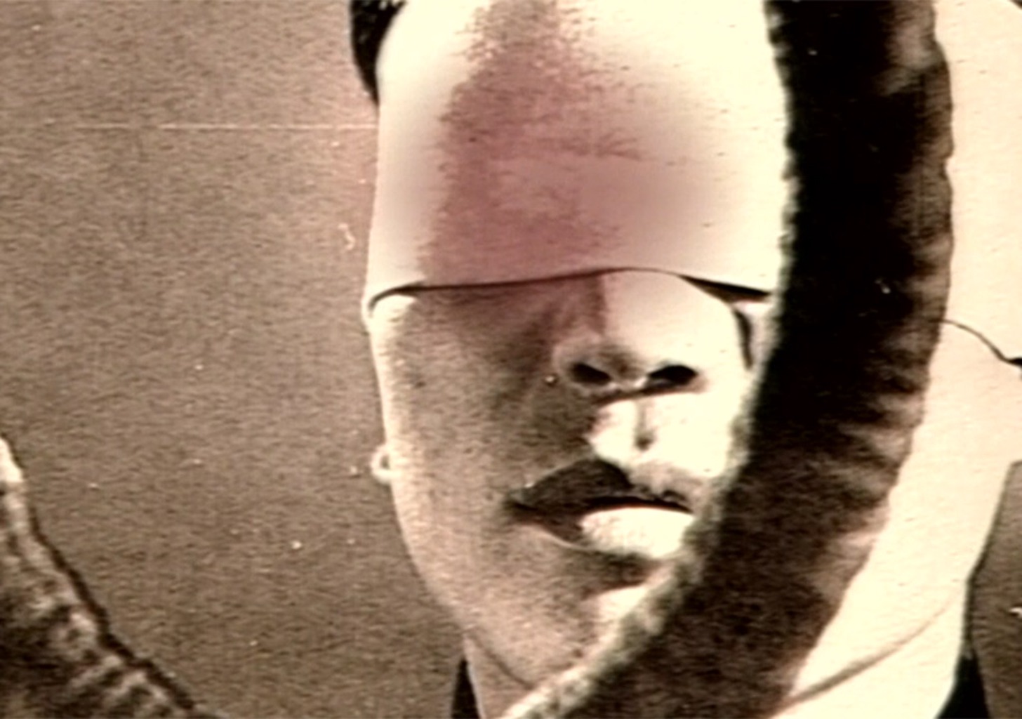 Kann in einem abgeschlagenen Kopf noch Leben sein?