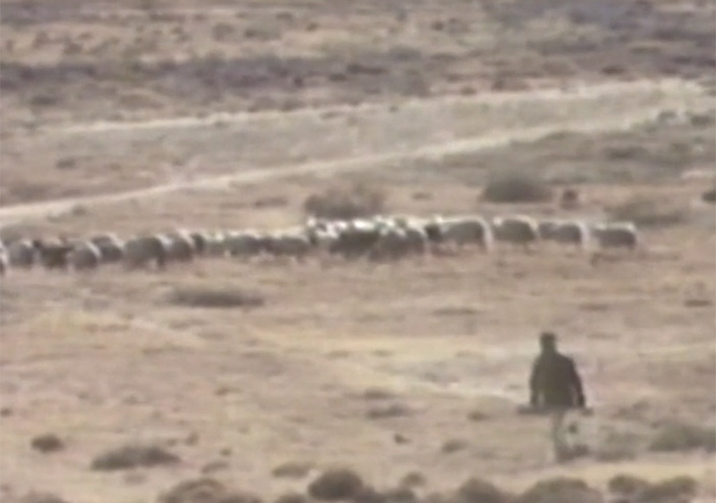 Navaho Talking Pictures