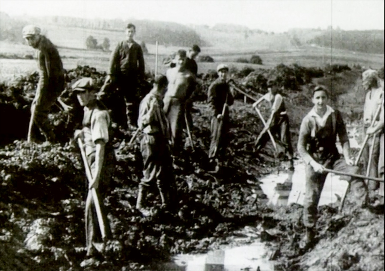 "Wölfe und Schlangenbändiger"