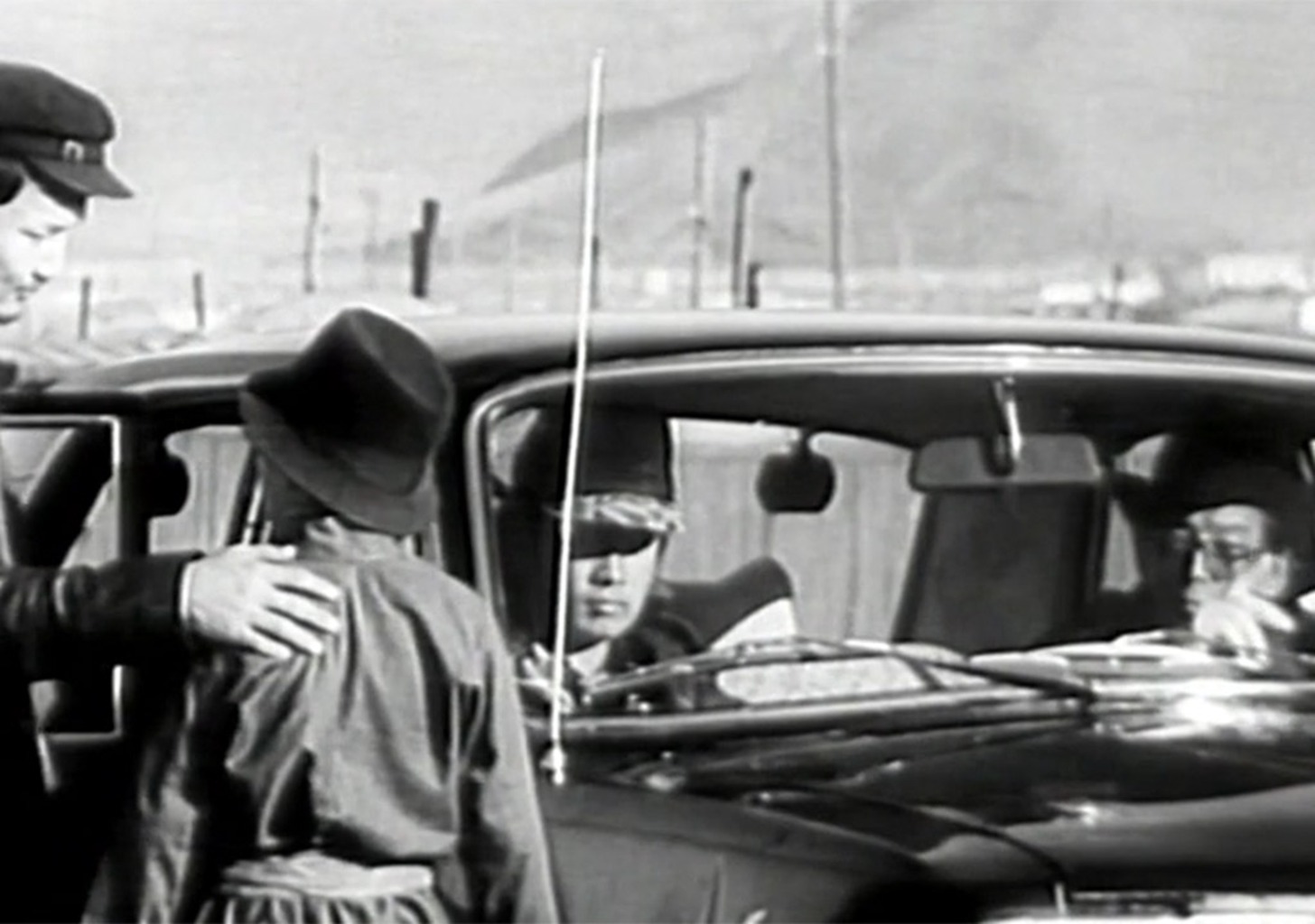 Verstrickung des Lebens