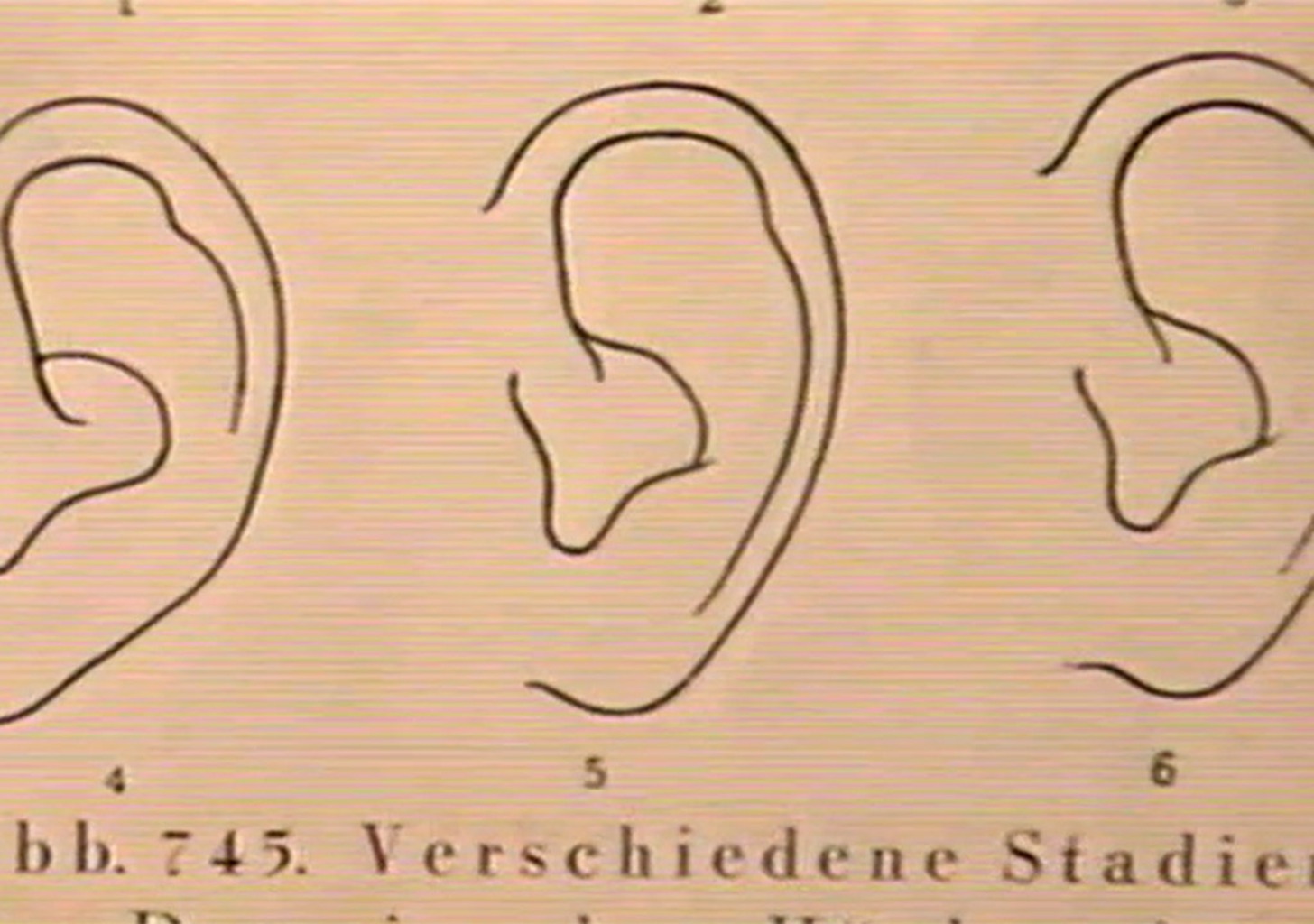 Das ABC der Emotionen