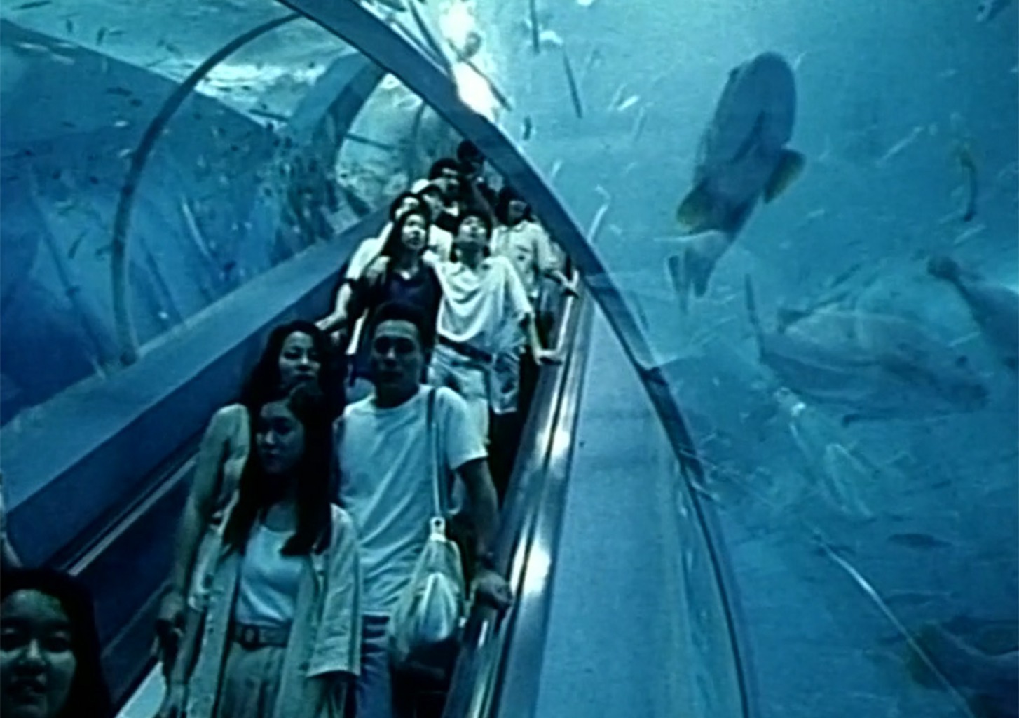 Sind wir Menschen Cyber-Wesen?