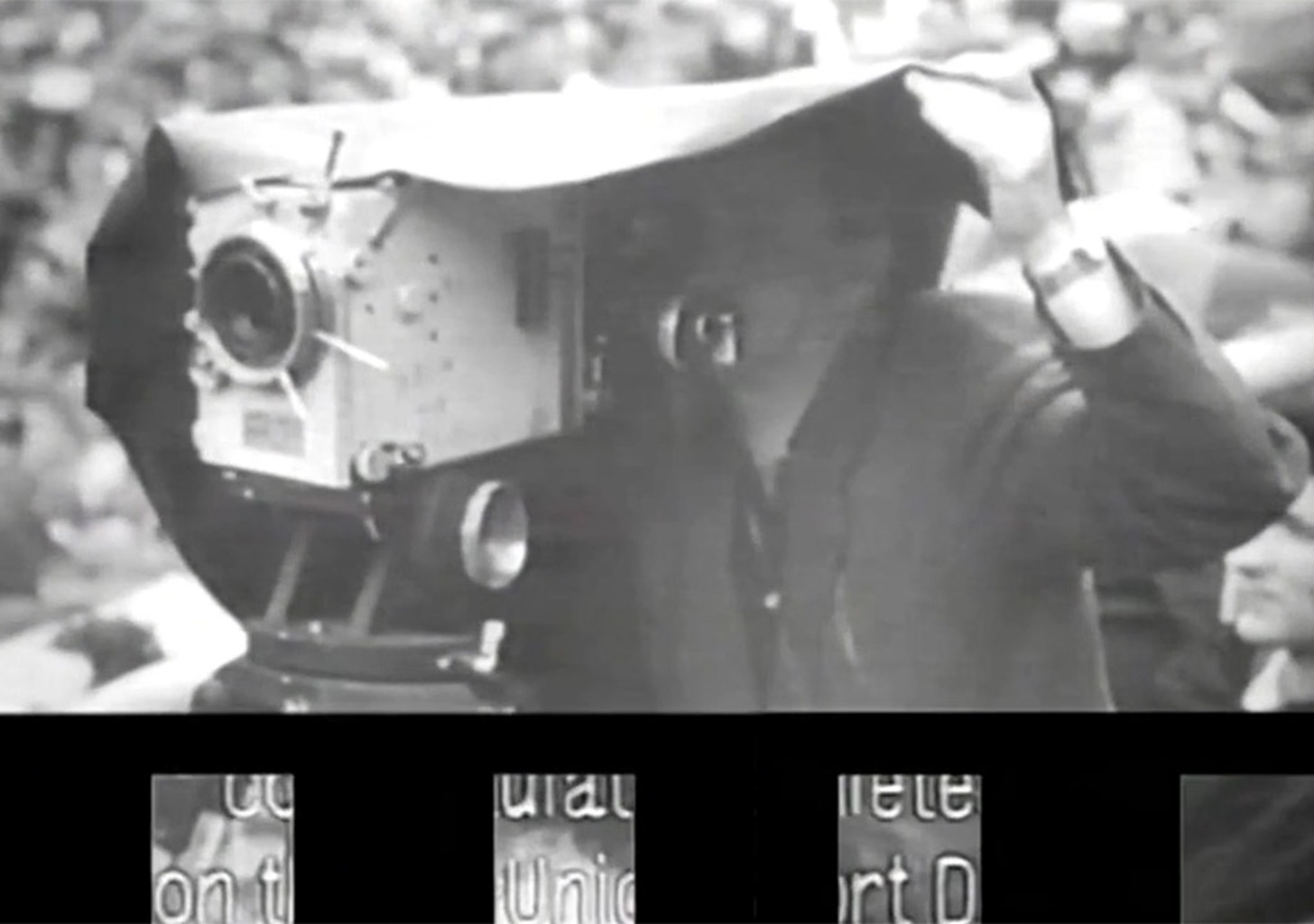 "Im Garten des Skorpions"