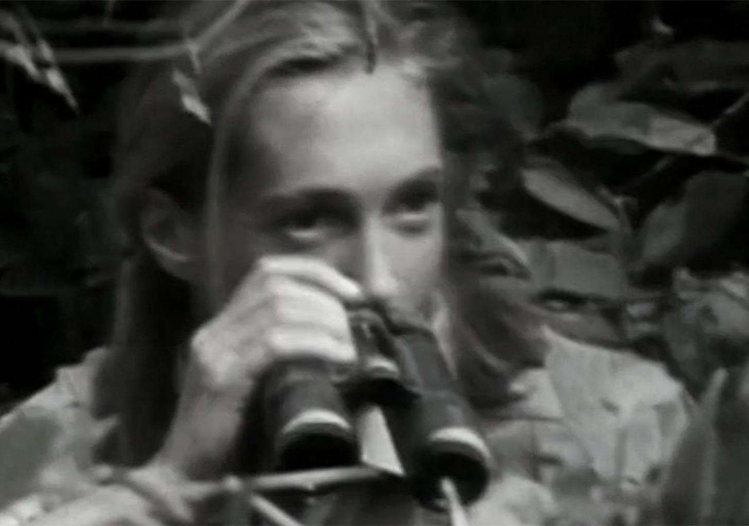 Tiere vor der Kamera