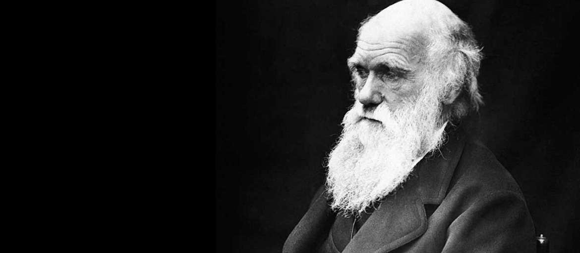 Darwin und kein Ende