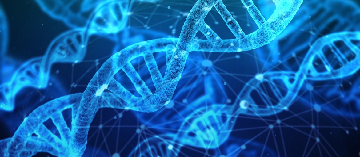 Wie poetisch ist die Wissenschaft