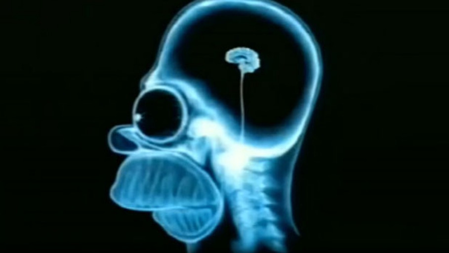 Sündenfälle der Neugier