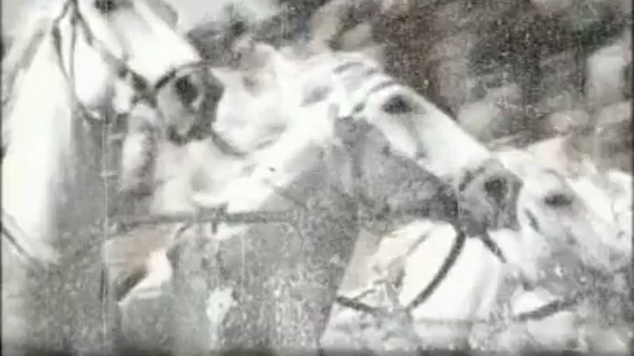 Inszenierung einer Katastrophe