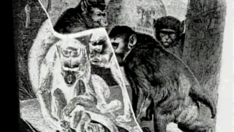 Ein Schelm ist ein Körper mit Augen