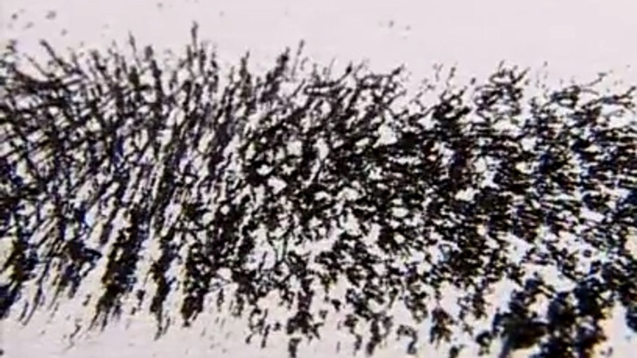 Physikalische Erklärungen der Finanzkrise