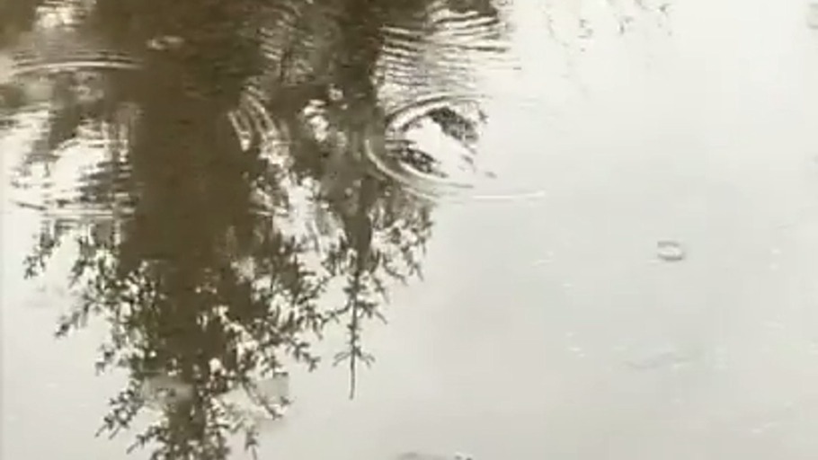 Regen auf Wasser im Harz