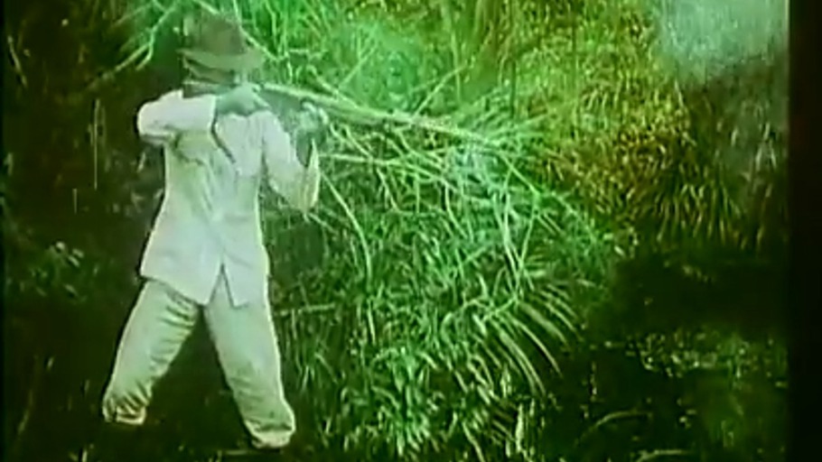 Jagd auf Wasserbüffel 