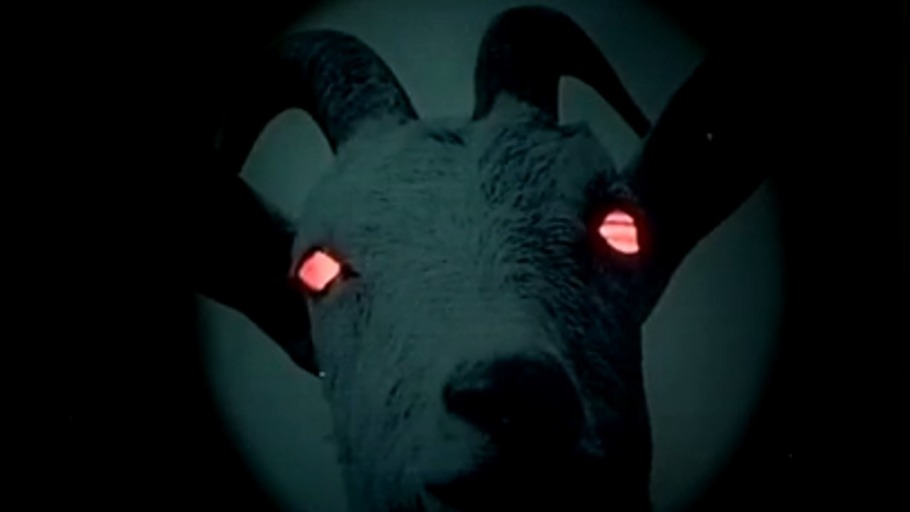 "Die Ziege geht in die Stadt"