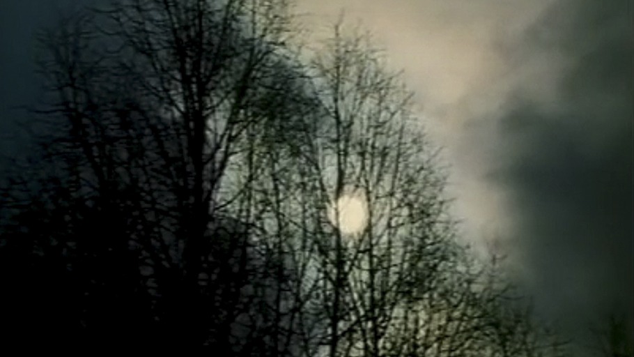 Eine Jägergruppe erschoss die tschernobyler Hunde