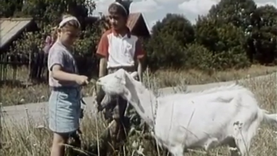 "Ich konnte den Kindern nicht in die Augen sehen"