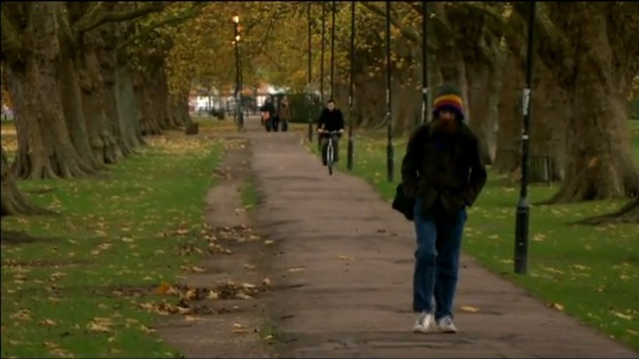 Aubrey de Grey, Gerontologe