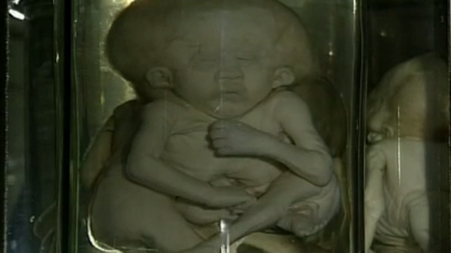 Der Tod, der lachen musste