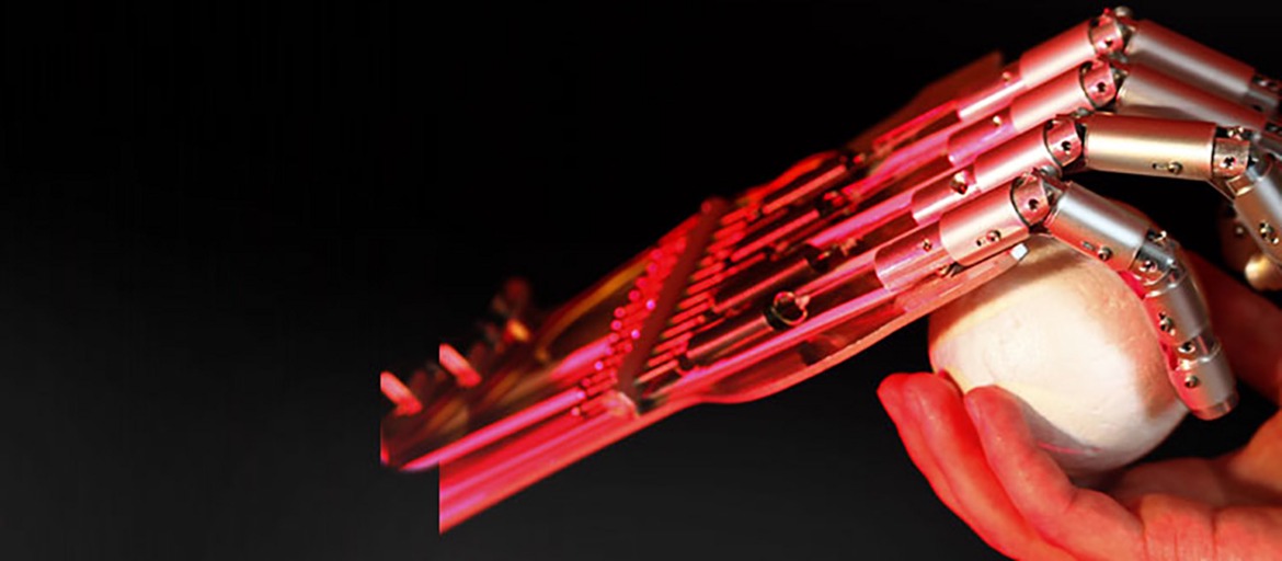 Evolution der Intelligenz