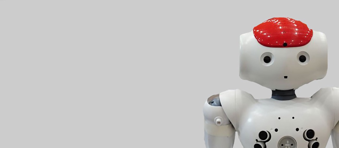 Wie lernt der Robo sapiens?