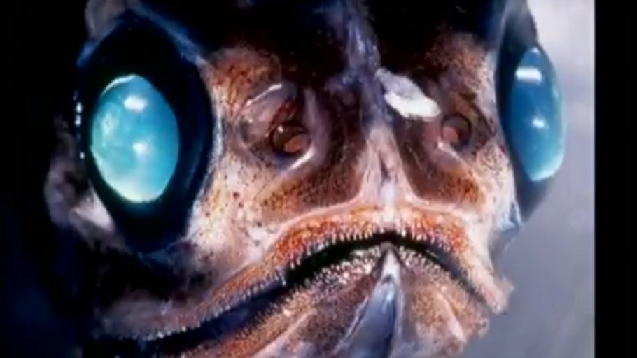 Helge Schneider als Tiefseetaucher