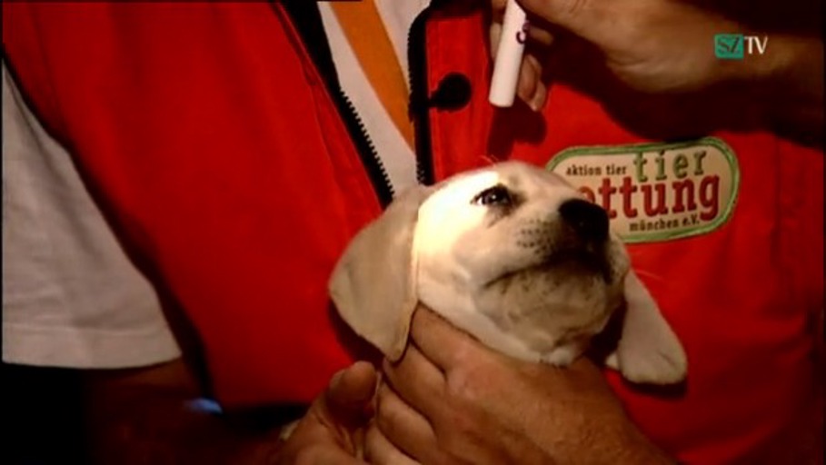 Mission: Tierrettung