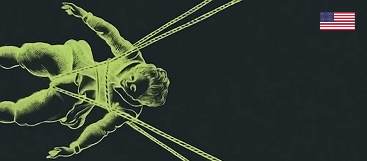 Capitalism and History