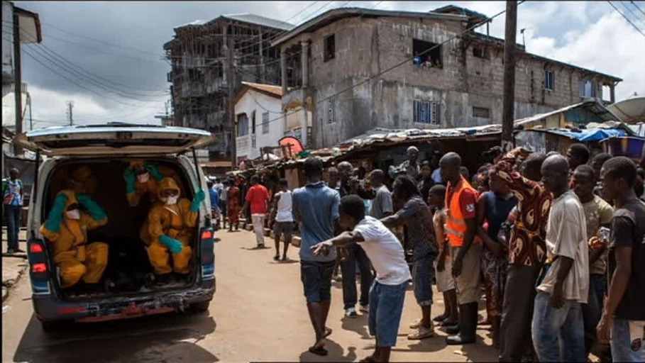 Wie der Mensch bei der Verbreitung von Ebola hilft
