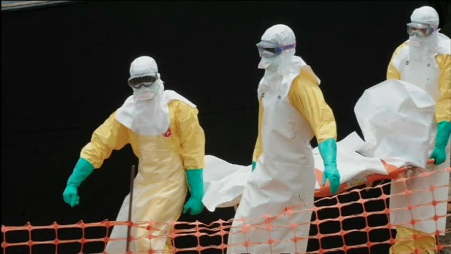 Ur-Viren im ewigen Eis