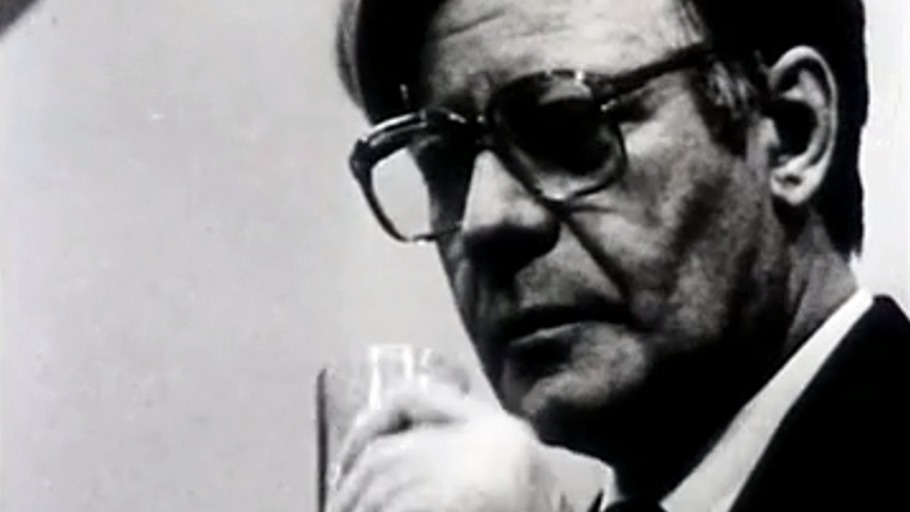 Schmidt auf dem Parteitag