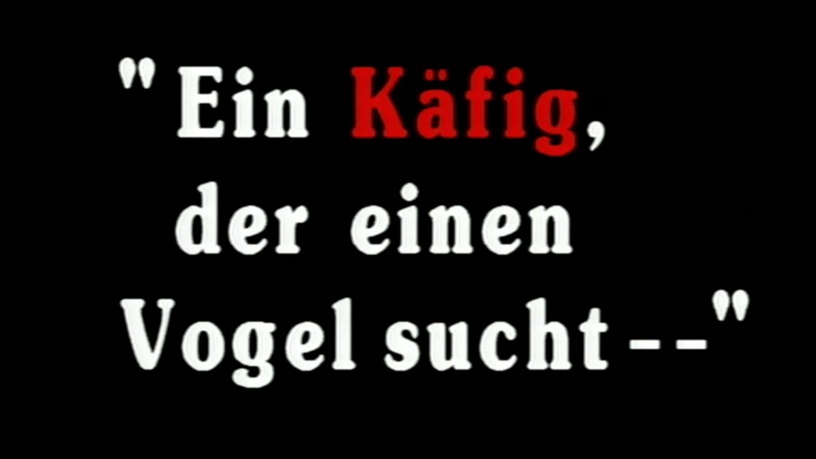 "Ein Käfig, der einen Vogel sucht"