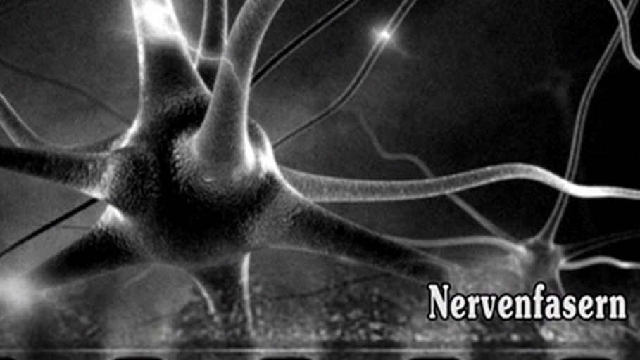 Nerven wie Drahtseile