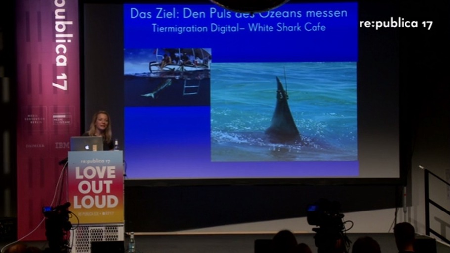 Digitale Tauchgänge in die Tiefsee