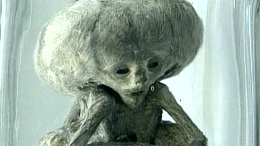 Wunderkammern des Wissens / Das Homunkulus - Projekt: DOPPELMAGAZIN (90 Minuten)