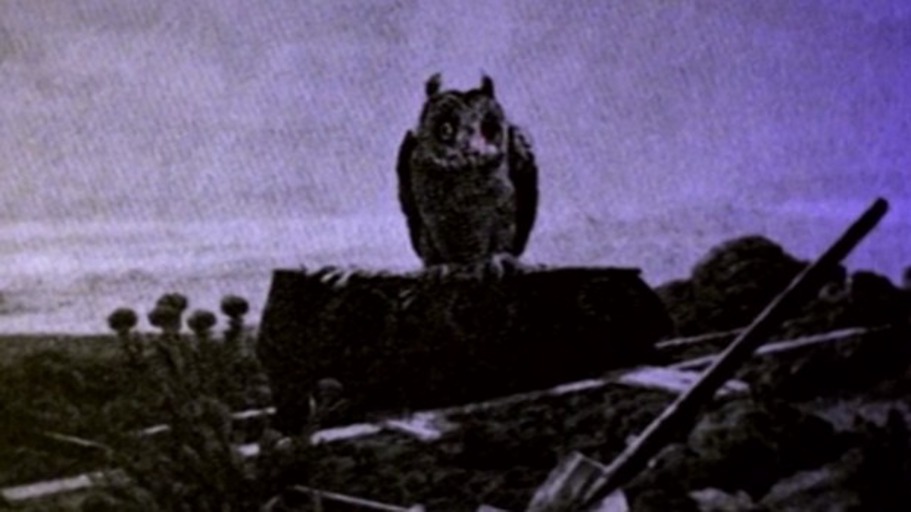 Wieviel Erde braucht der Mensch?