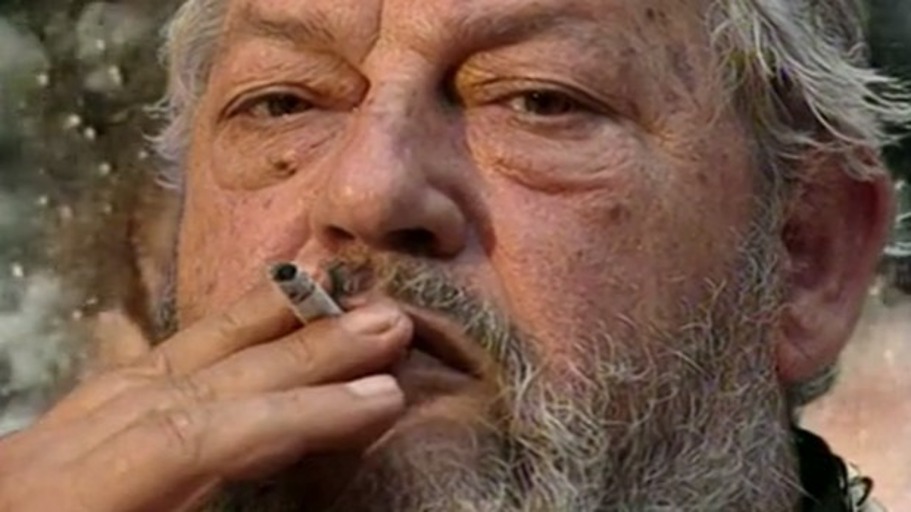 Katastrophentheorie und Evolution