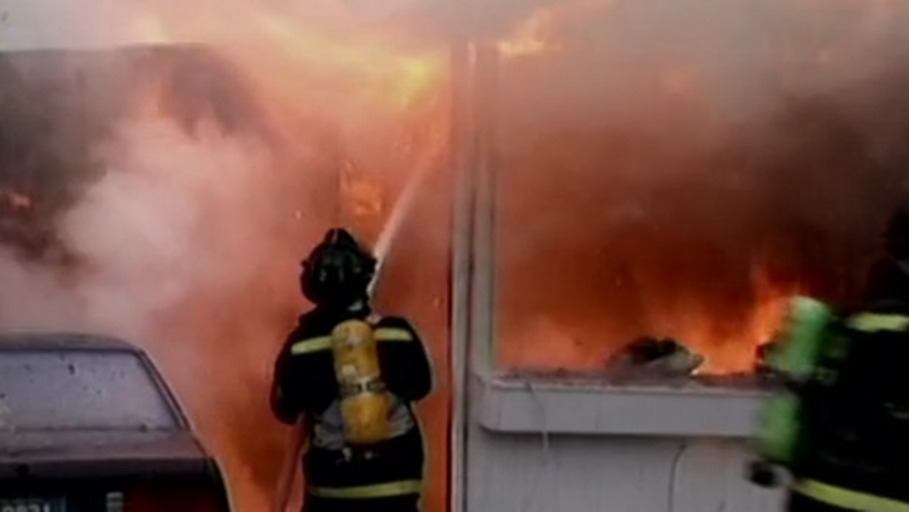 Nur Dosen wurden gerettet