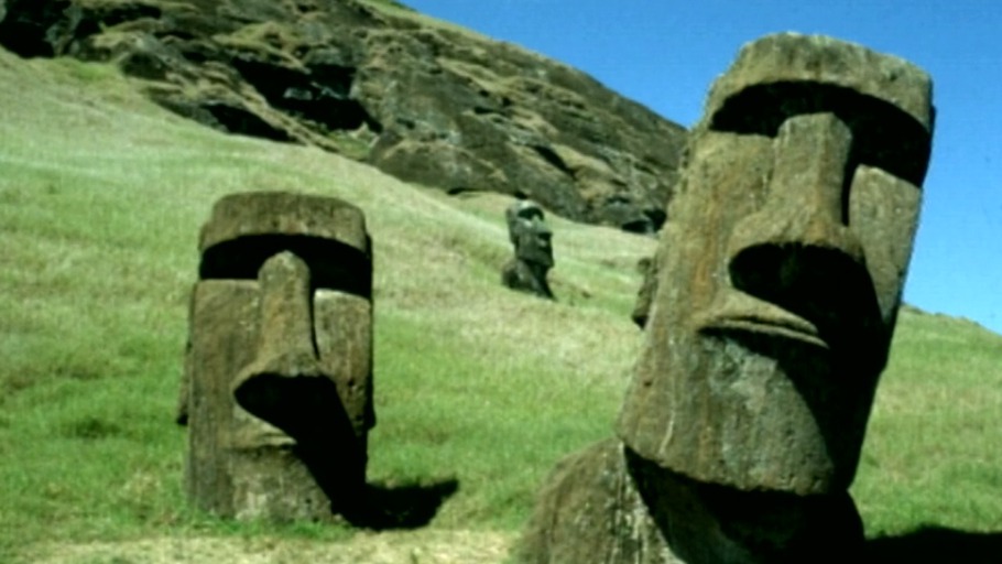 Vielfalt des Lebendigen