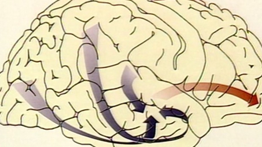 Der schleichende Tod