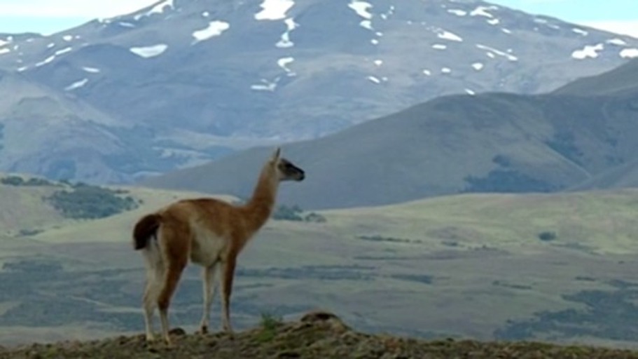 Bericht vom südlichsten Ende der Welt