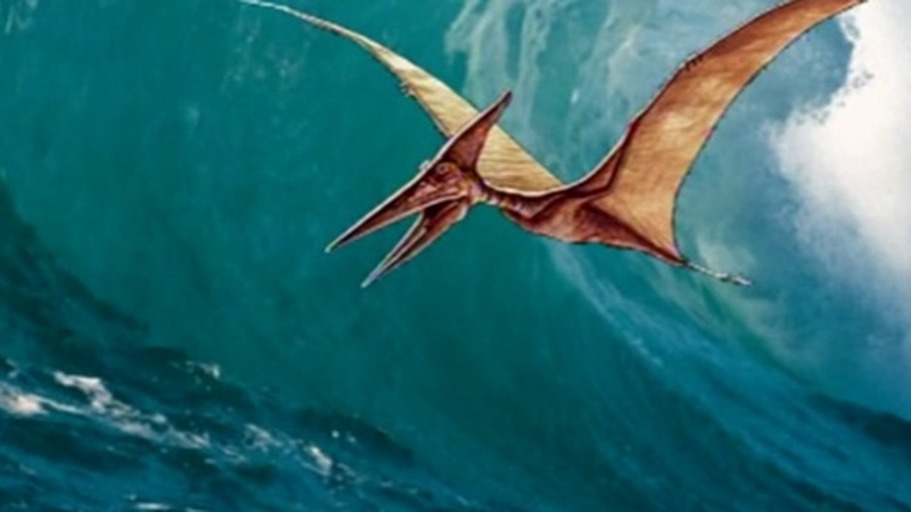 Der Mega-Einschlag und die Dinosaurier