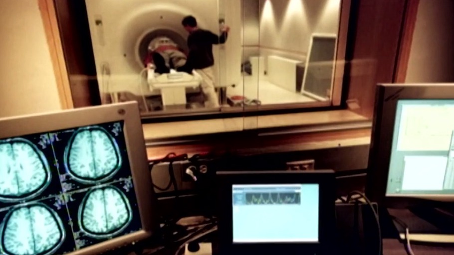 Der Abgrund zwischen Hirn und Welt