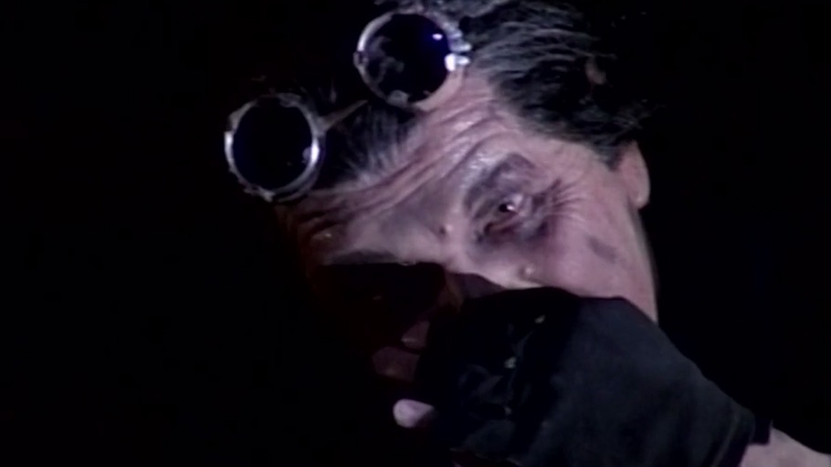 Die Ohren sind ein Hirn für sich